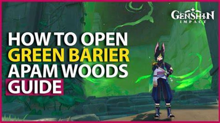 How to open green chest in Perdida?