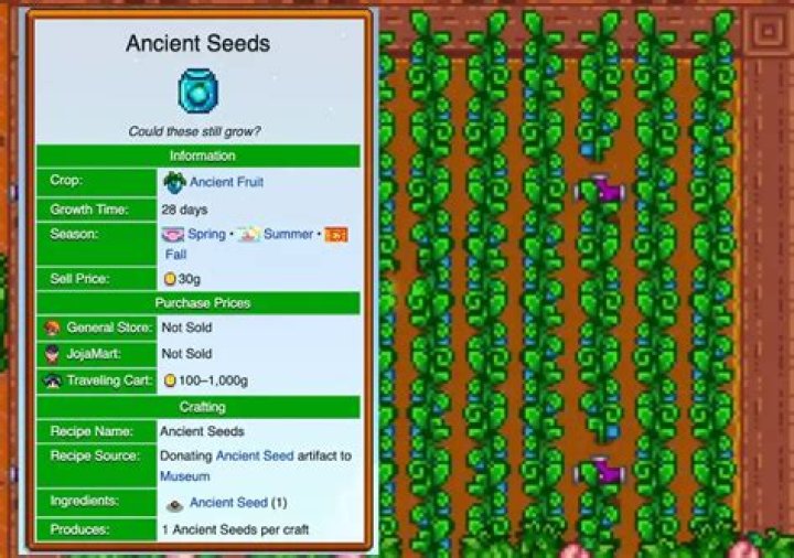 How to produce Ancient Fruits?