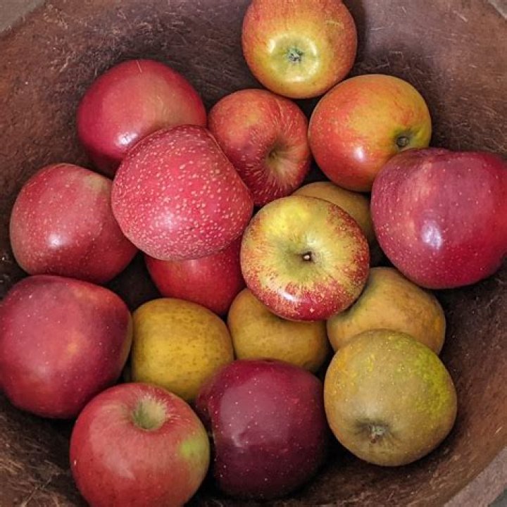 How to quickly get gem apples