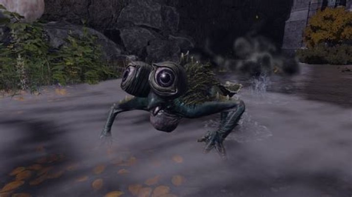 How to survive the curse-frogs in Dark Souls?