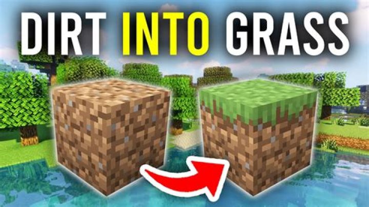 How to turn sand into grass in Minecraft? [duplicate]