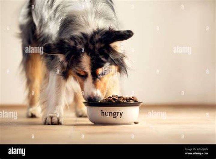 HUNGRY!