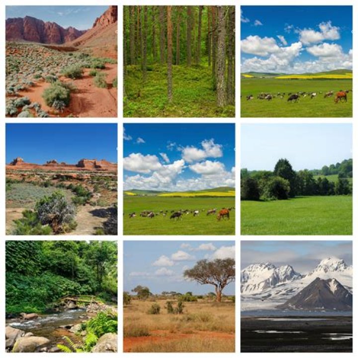 I've just happened to come across some biomes, and I want to know how rare it is