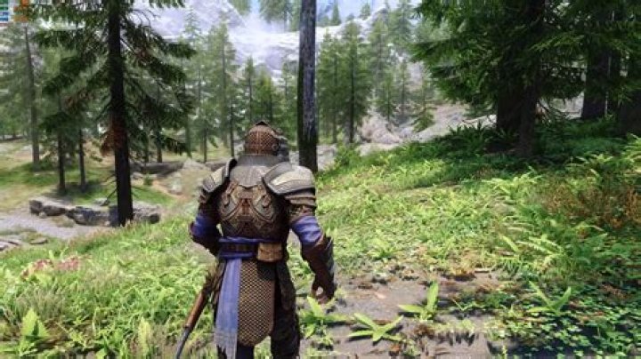 In Skyrim, what is the third official High Res Texture Pack module for?