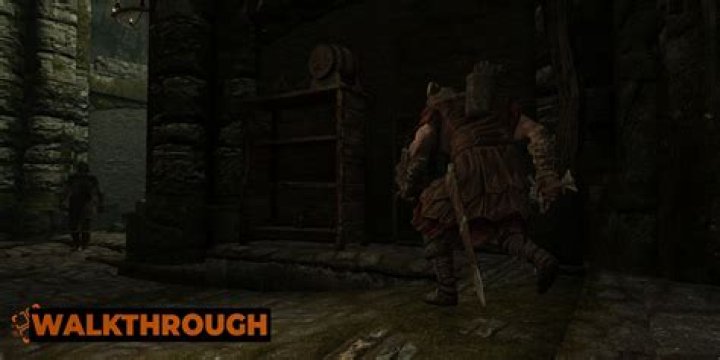 In the Rescue from Fort Neugrad mission, why are my contacts waiting for me inside the fort?