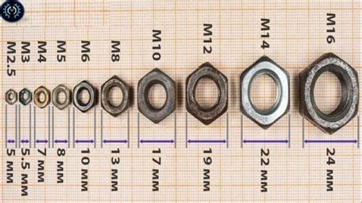 Is Tall-Nut worth its price?