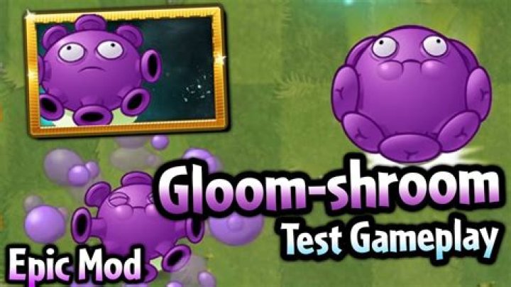 Is the gloom shroom worth it?