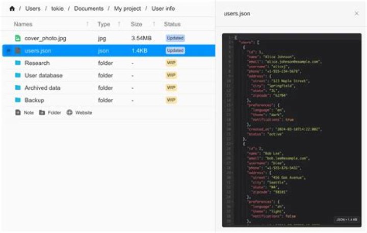 JSON files