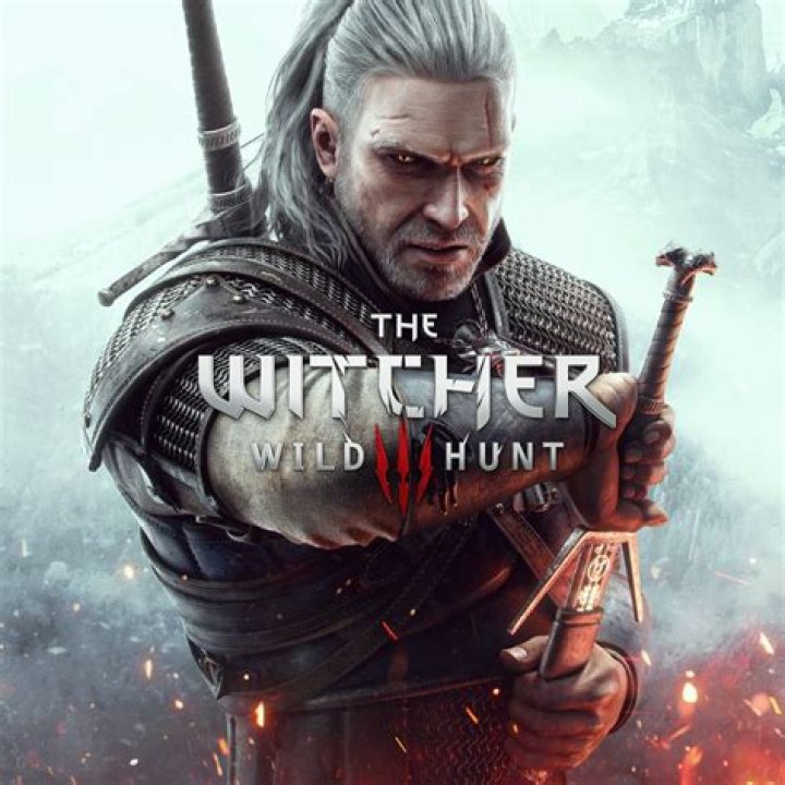Low fps on The Witcher 2 even though it should be better