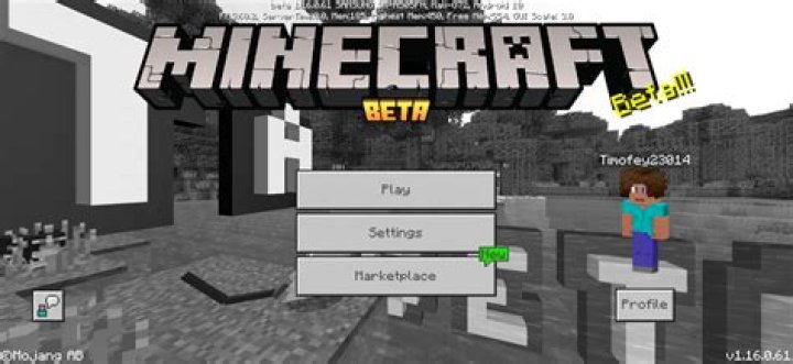 Minecraft Beta Screen