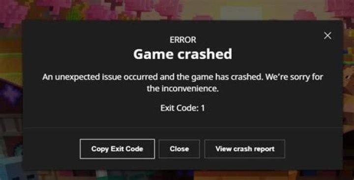 Minecraft error