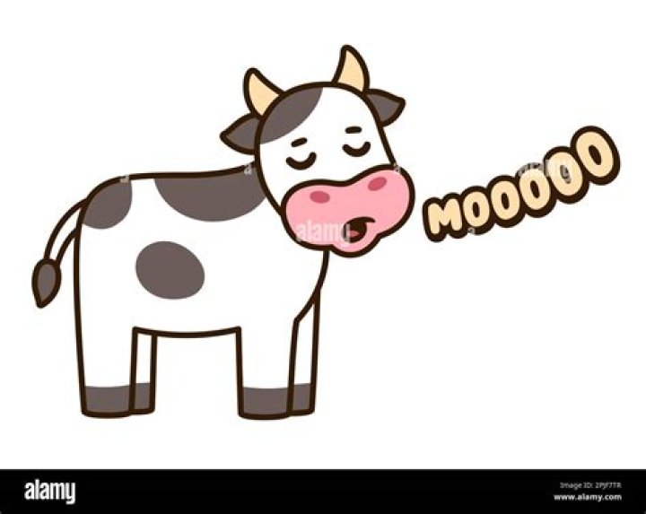 MOO!