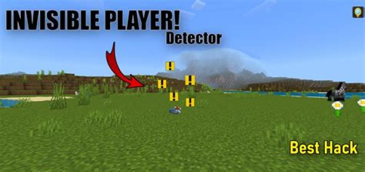 Multiplayer minecraft problems on ps3. Invisible players