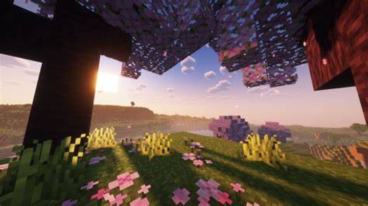 My Minecraft looks pixelated