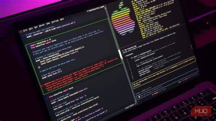 My terminal