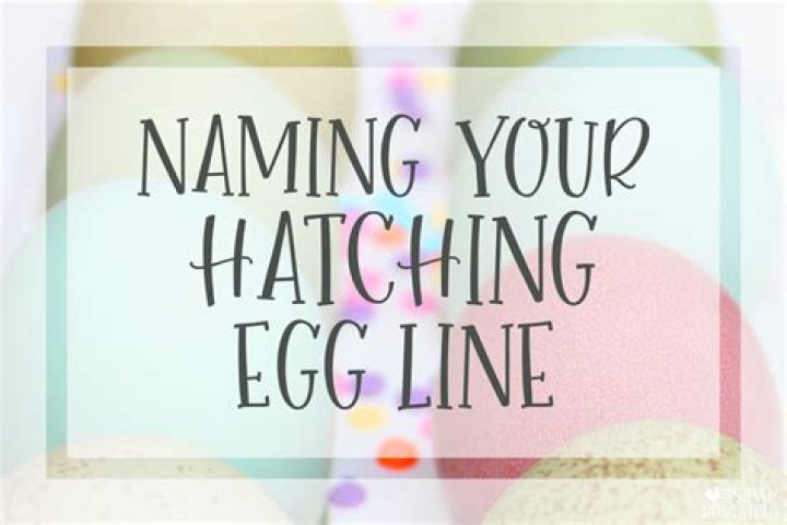 Naming the Egg