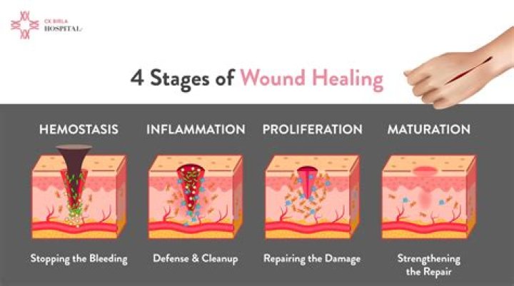 Normal Healing Touch