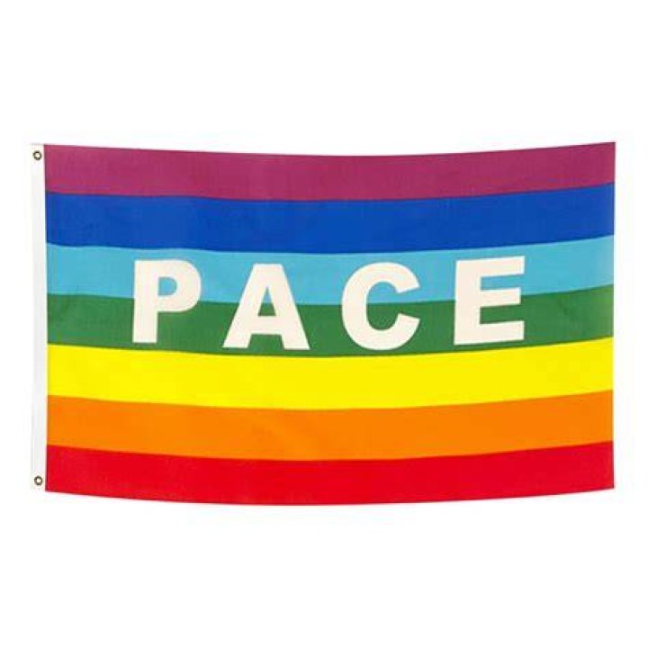 Pacifist flag