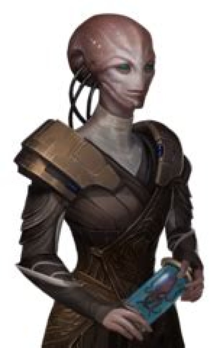 paragon portraits