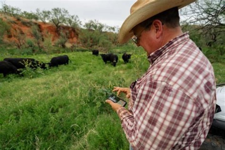 pasture screen