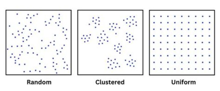 Pattern distribution example