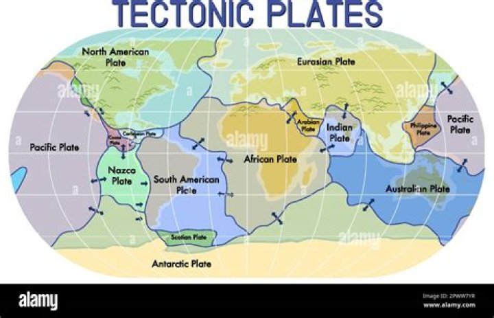 pressure plates location