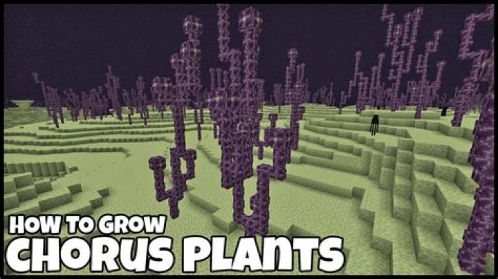 problem with growing plants in minecraft [closed]