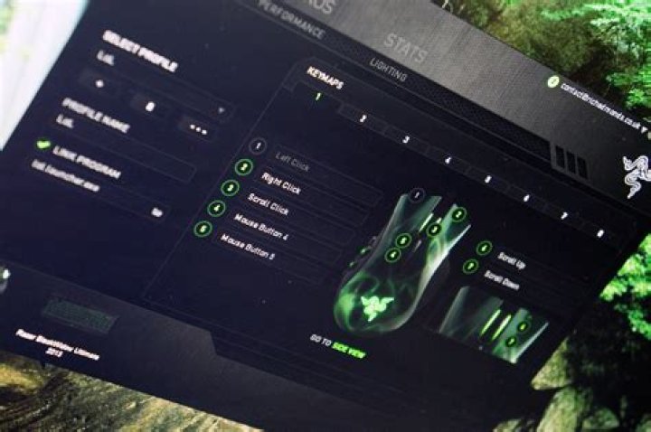 Razer Synapse settings 1