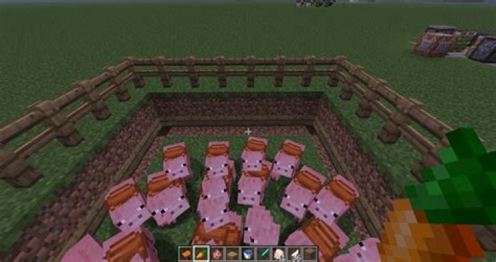 Saddled pig ranch, no escapees