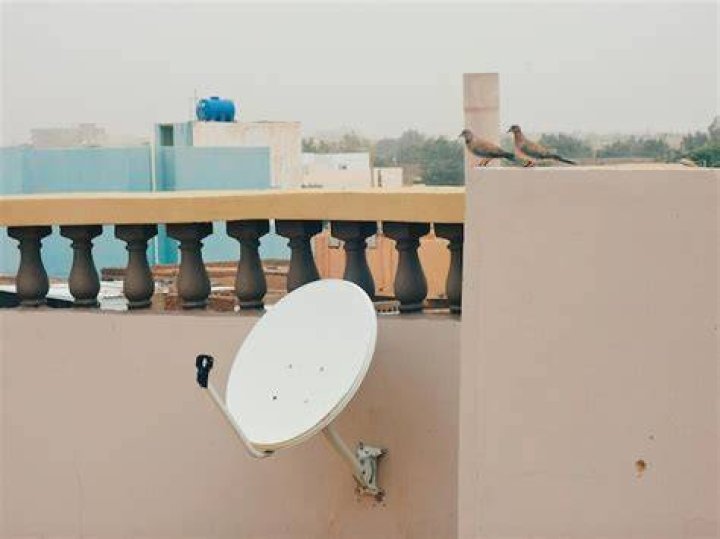 Satellite dish with birds