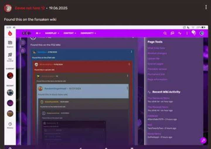 Screenshot from Fandom