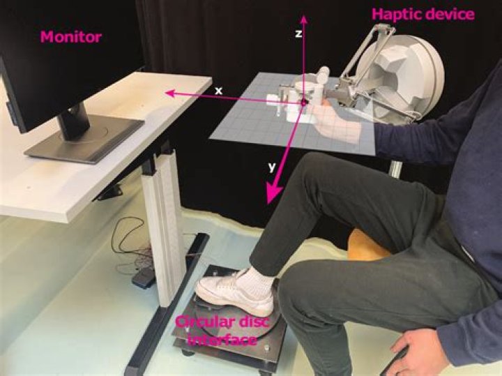 Screenshot of the experiment setup