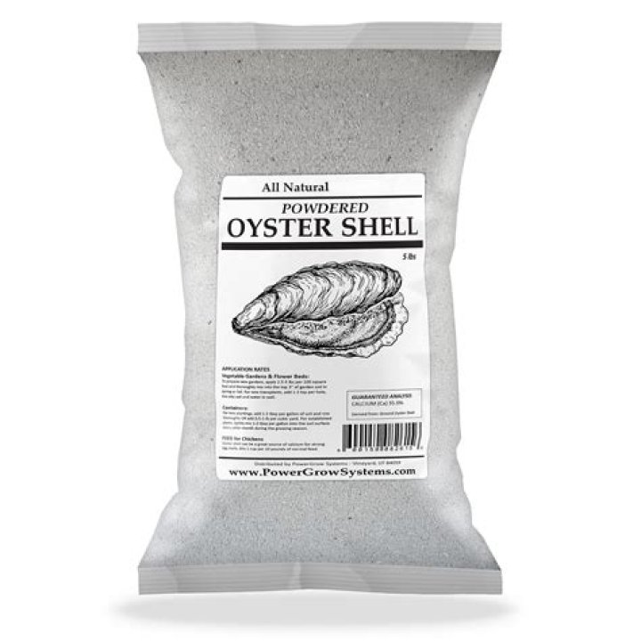 SHELL POWDER