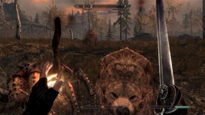 Skyrim: Everyone is attacking me