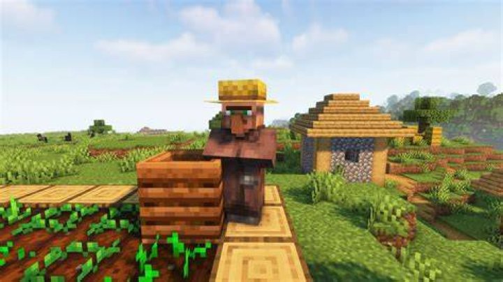 Spawned Villager