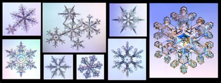 Special Snowflakes