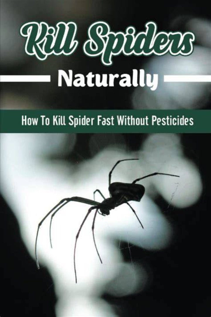 spider kill spider