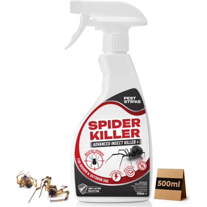 spider killer in action