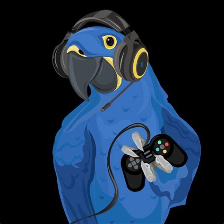 St4ck's account information