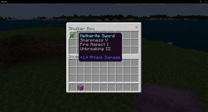 Stash items in the shulker box