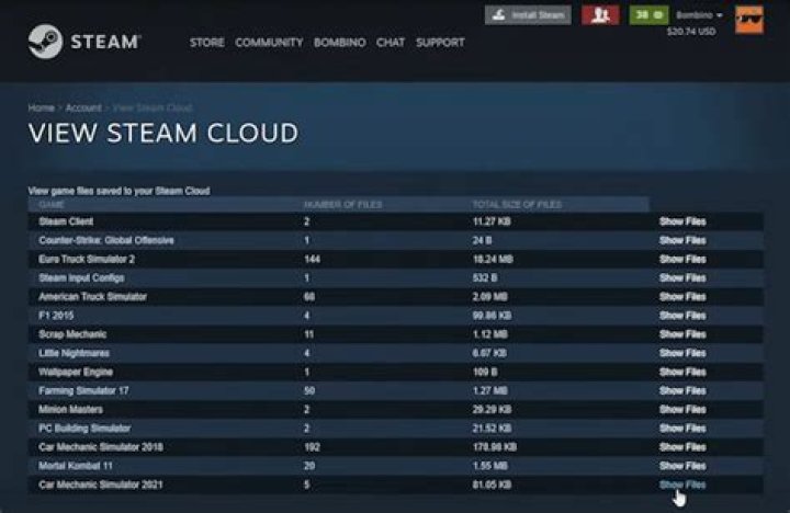 steam cloud