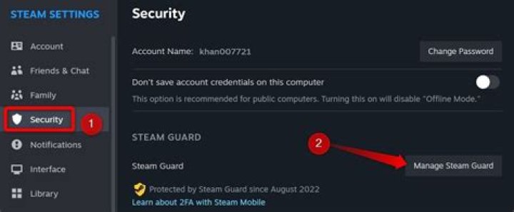 Steam Guard