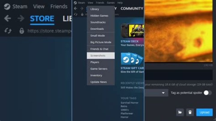 Steam screenshot