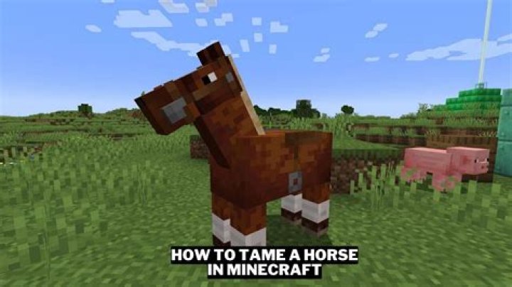 Teleport player on horse on minecraft vanilla