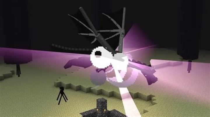 the enderdragon