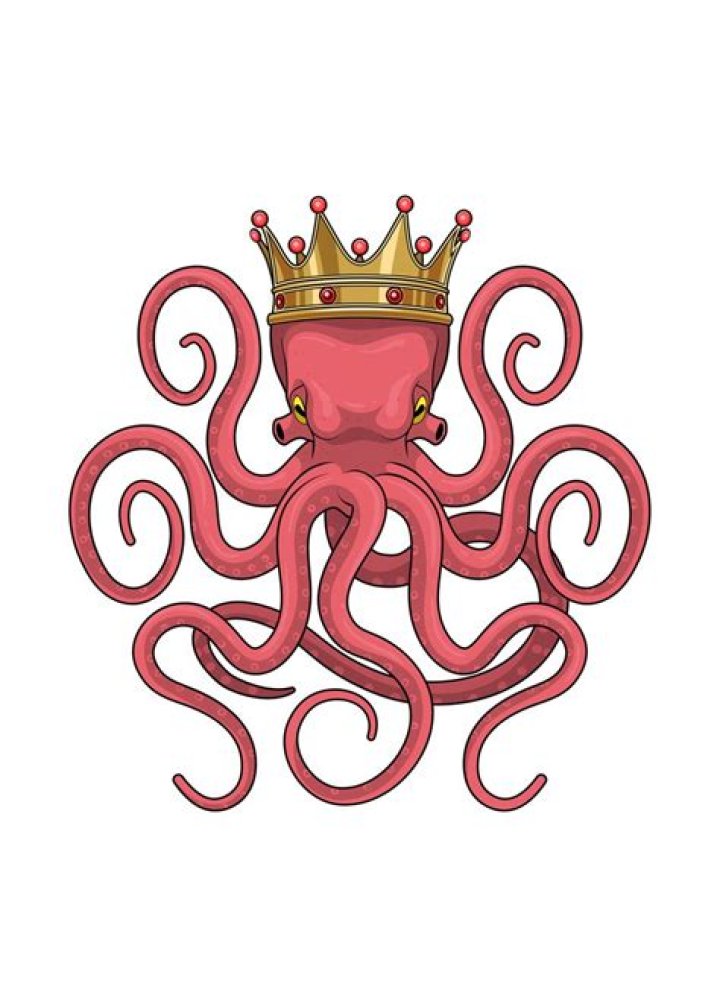 When you wear this crown, you feel a lot more confident. It doesn't give any advantage in quests, but self-confidence is important! The Octopus King crown