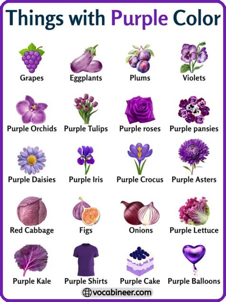 Those in purple.