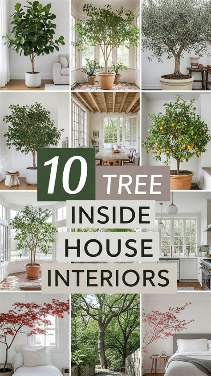 Trees inside walls!