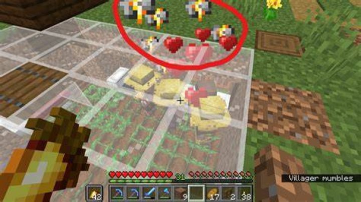 Villagers fail to breed
