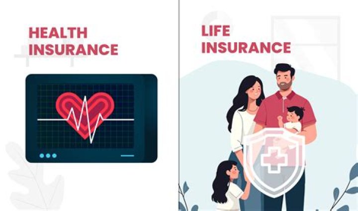 What's the difference between life, health, armour and shield?